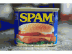 spam