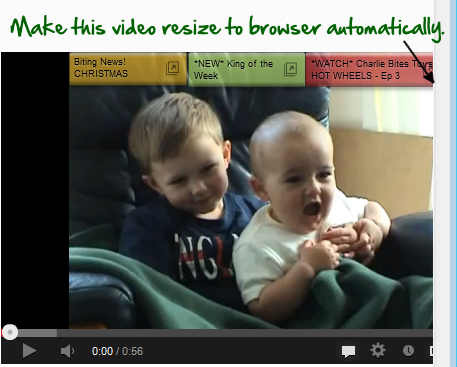 Auto resize youtube video for responsive site